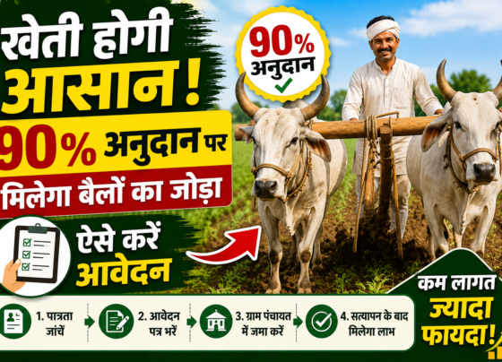 Bullock Pair Scheme for Farmers