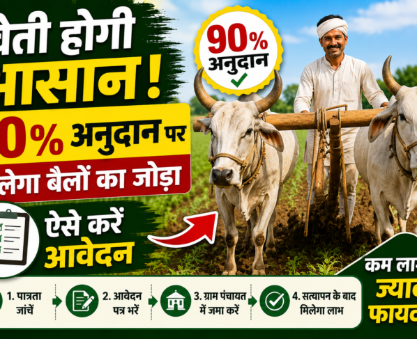 Bullock Pair Scheme for Farmers