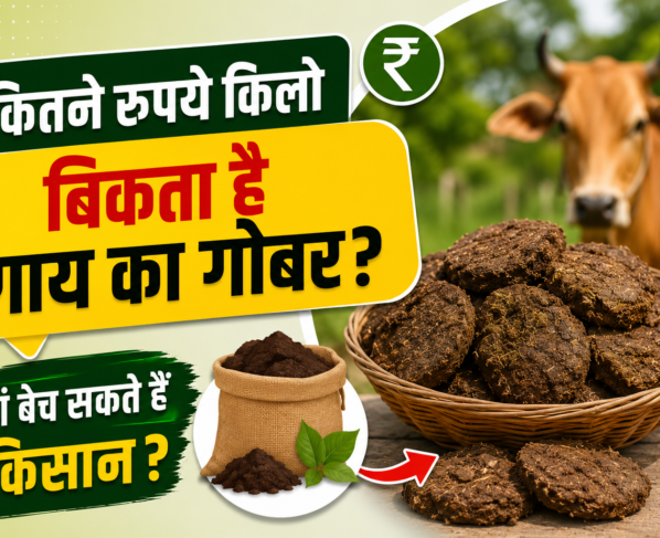 Cow Dung Price in India
