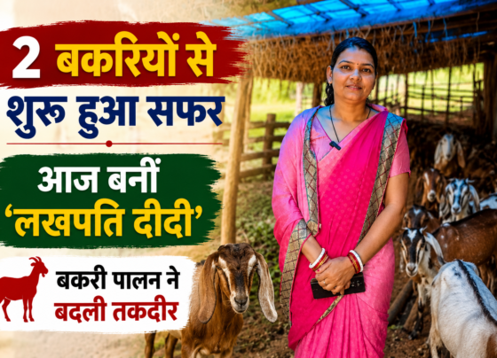 Devanti Rajwade Goat Farming Success Story Sarguja