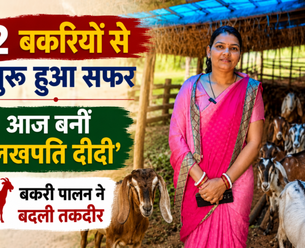 Devanti Rajwade Goat Farming Success Story Sarguja
