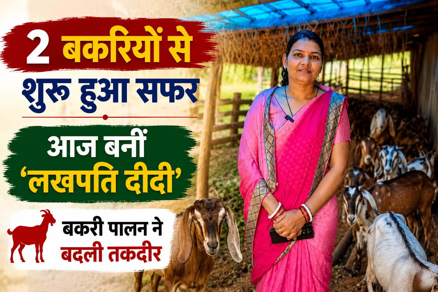 2 बकरियों से शुरू हुआ सफर, बकरी पालन ने बदल दी ग्रामीण महिला की तकदीर, आज बनीं ‘लखपति दीदी’, जानिए कैसे Devanti Rajwade Goat Farming Success Story Sarguja
