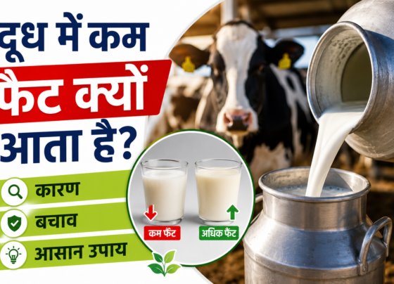 Doodh Me Fat Kaise Badhaye