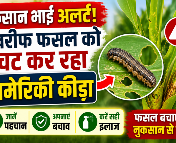 Fall Armyworm Control in Kharif Crops