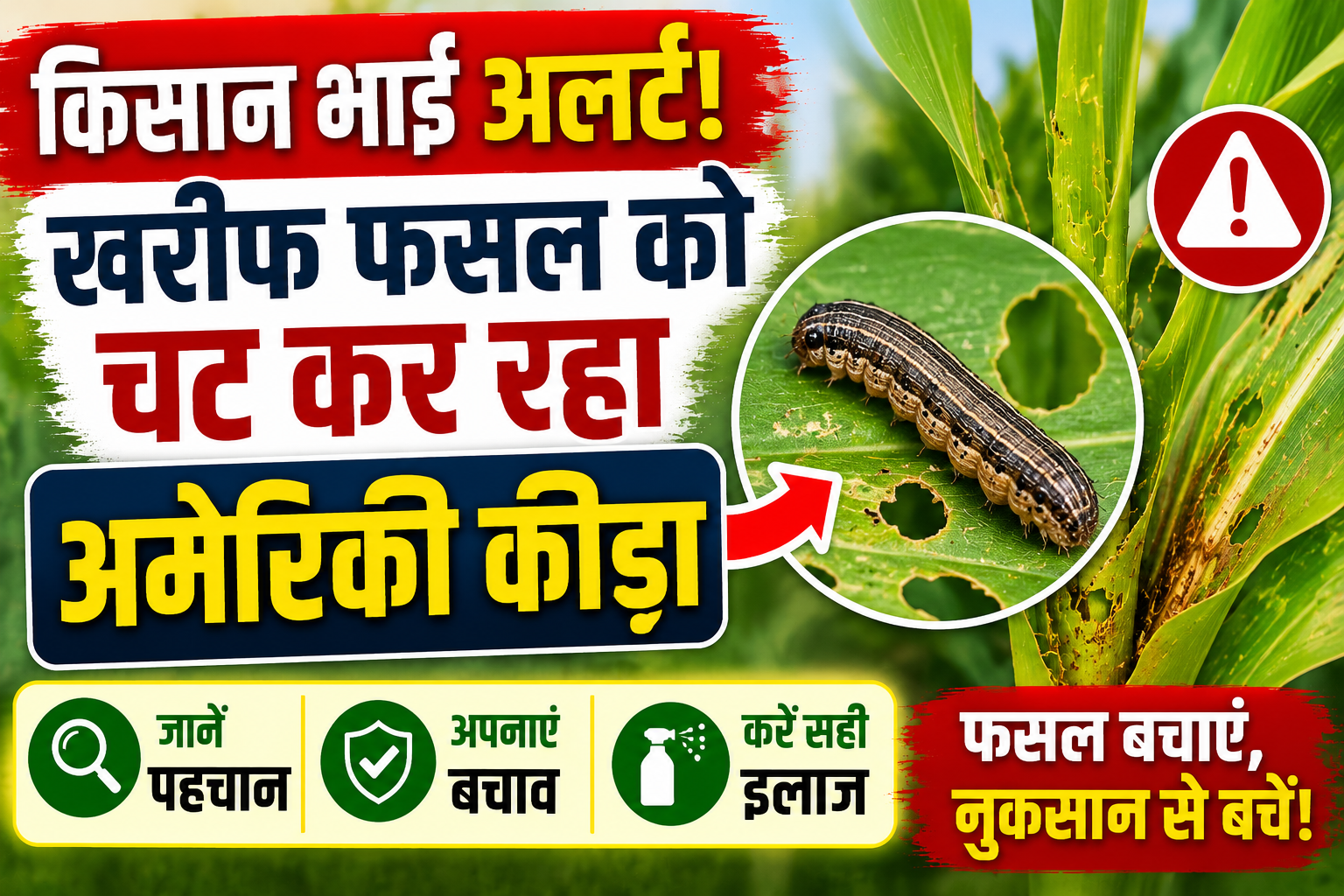 किसान भाई अलर्ट! खरीफ फसल को चट कर रहा अमेरिकी कीड़ा, जानें पहचान, बचाव और इलाज Fall Armyworm Control in Kharif Crops