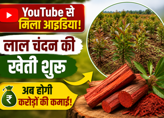Farmer Dilip Pawar Red Sandalwood Farming Success Story Burhanpur MP