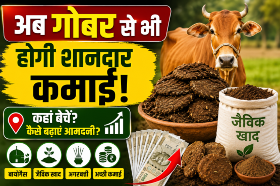 Gobar Se Kamai Kaise Kare