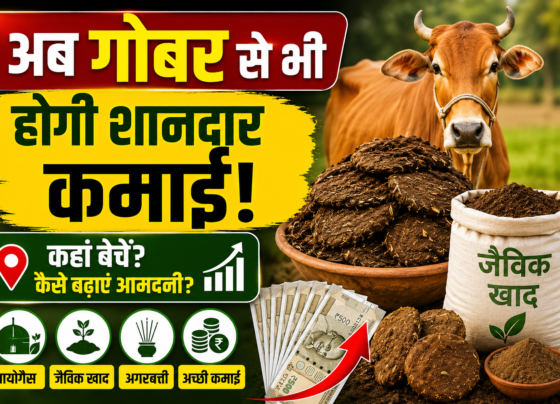 Gobar Se Kamai Kaise Kare