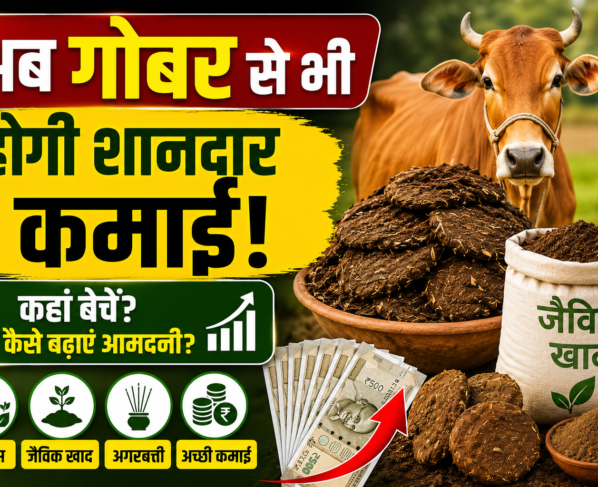 Gobar Se Kamai Kaise Kare