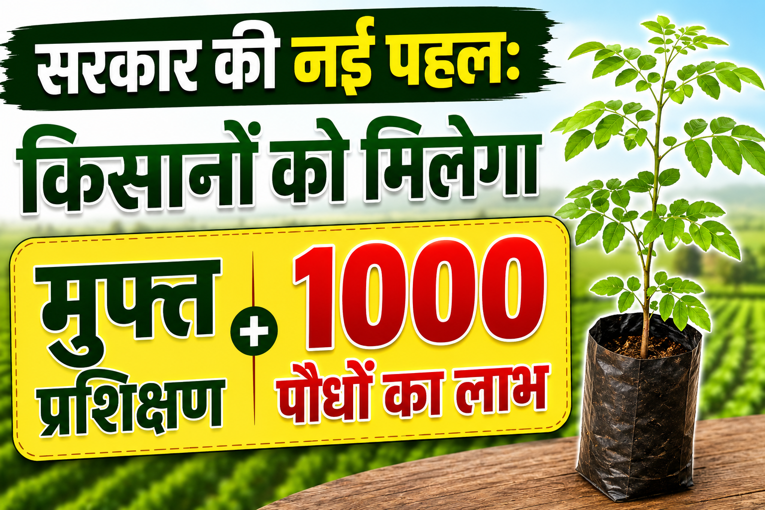 सरकार की नई पहल: किसानों को मिलेगा मुफ्त प्रशिक्षण और 1000 पौधों का लाभ Govt Offers Free Moringa Training