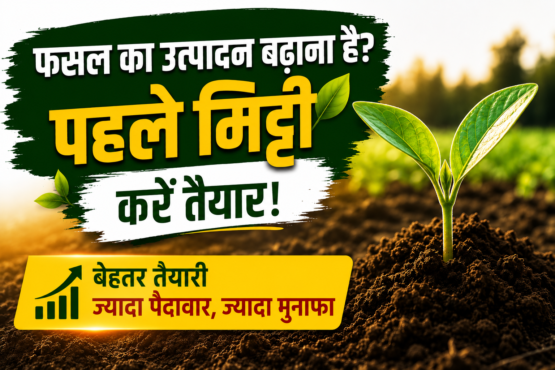 How to Prepare Soil for Farming