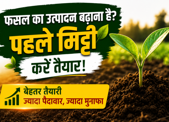 How to Prepare Soil for Farming