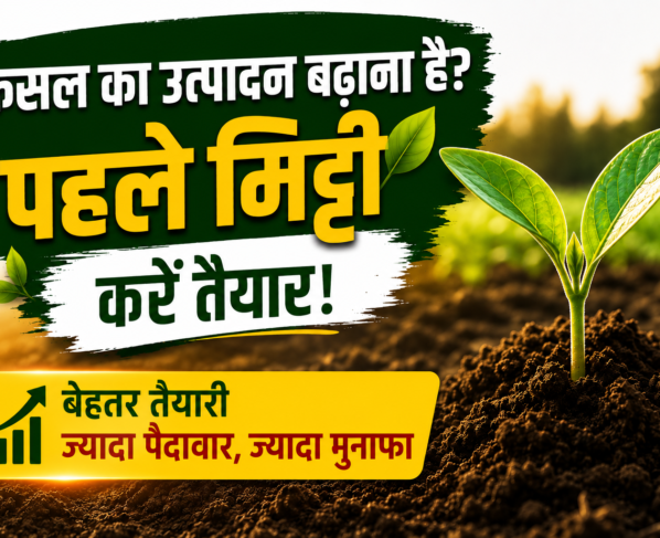 How to Prepare Soil for Farming