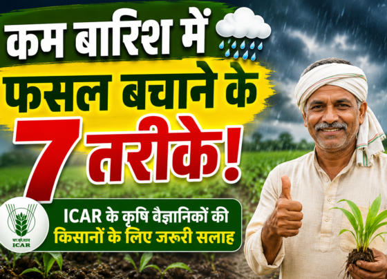 Kam Barish Me Fasal Kaise Bachaye