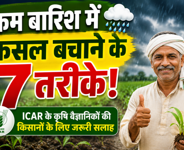 Kam Barish Me Fasal Kaise Bachaye