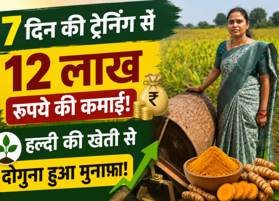 Kanchan Verma Turmeric Farming Success Story