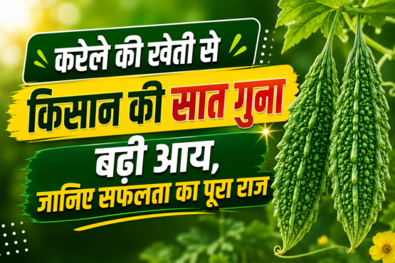 Karela Farming Success Story in Mahasamund