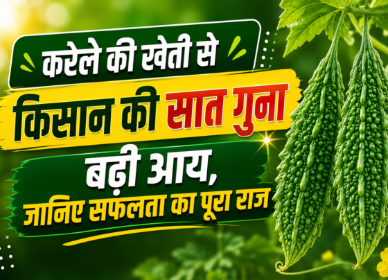 Karela Farming Success Story in Mahasamund