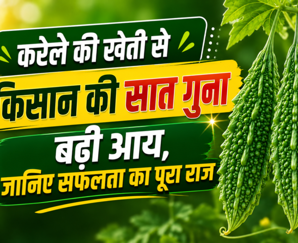 Karela Farming Success Story in Mahasamund