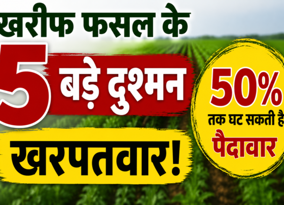 Weed Management in Kharif Crops