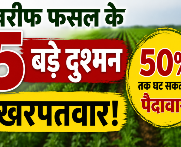 Weed Management in Kharif Crops
