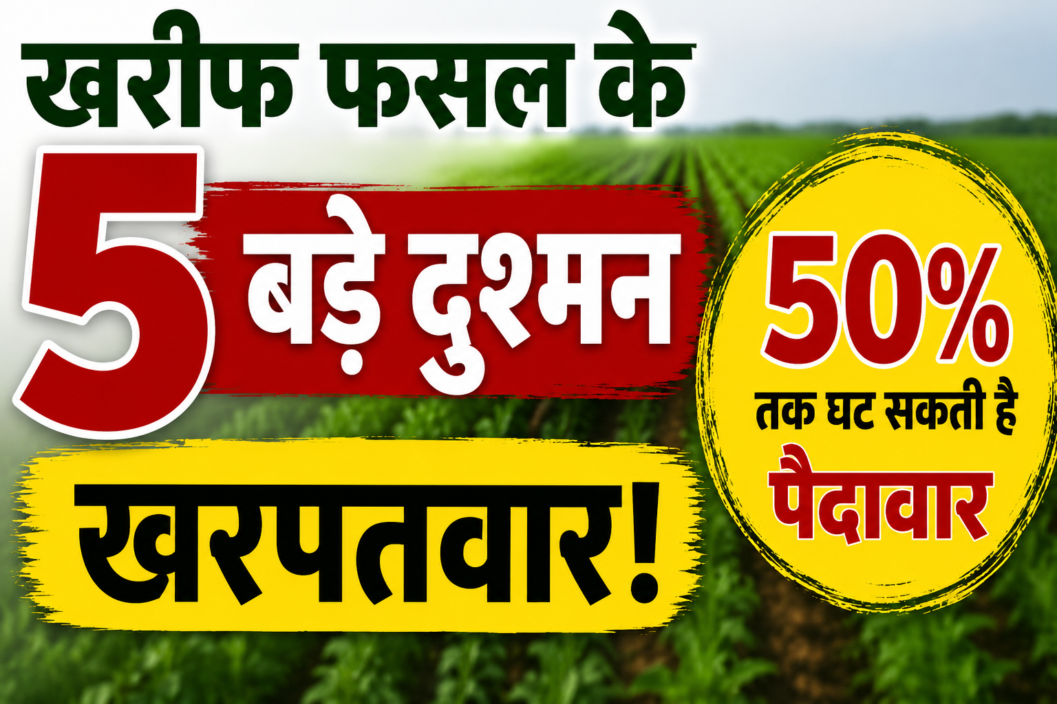 खरीफ फसल के 5 बड़े दुश्मन खरपतवार! समय रहते नहीं हटाया तो 50% तक घट सकती है पैदावार Weed Management in Kharif Crops