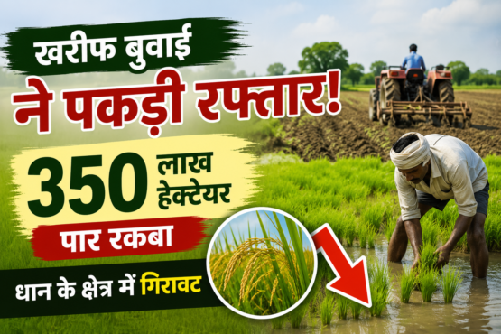खरीफ बुवाई ने पकड़ी रफ्तार! 350 लाख हेक्टेयर पार रकबा, धान के क्षेत्र में गिरावट Kharif Sowing Area Update 2026