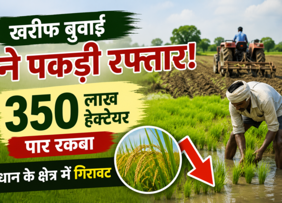 खरीफ बुवाई ने पकड़ी रफ्तार! 350 लाख हेक्टेयर पार रकबा, धान के क्षेत्र में गिरावट Kharif Sowing Area Update 2026