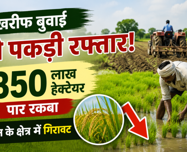 खरीफ बुवाई ने पकड़ी रफ्तार! 350 लाख हेक्टेयर पार रकबा, धान के क्षेत्र में गिरावट Kharif Sowing Area Update 2026