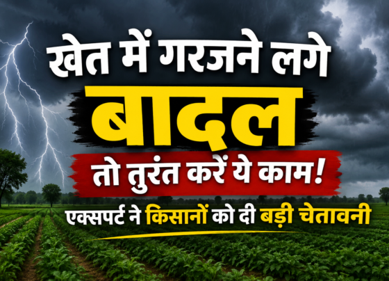 Khet Me Bijli Girne Se Kaise Bache