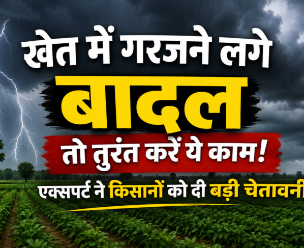 Khet Me Bijli Girne Se Kaise Bache