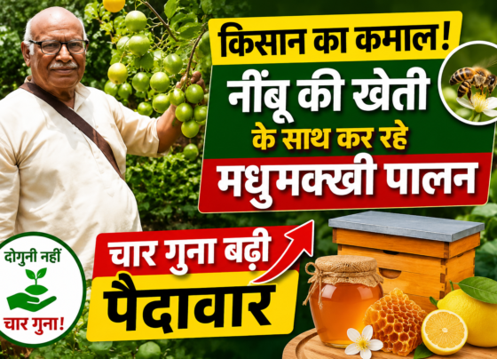 Lemon Farming with Beekeeping Success Story