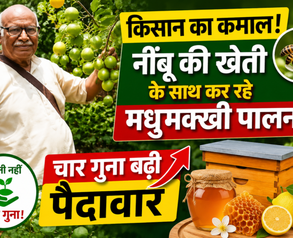 Lemon Farming with Beekeeping Success Story