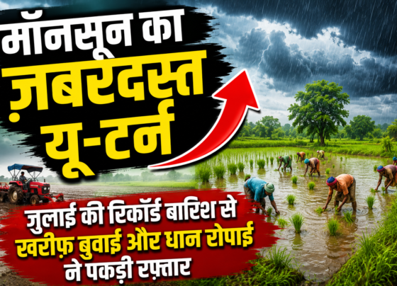 Monsoon Rainfall 2026