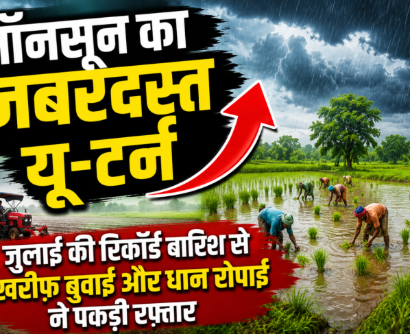 Monsoon Rainfall 2026
