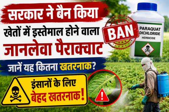 Paraquat Dichloride Ban in India