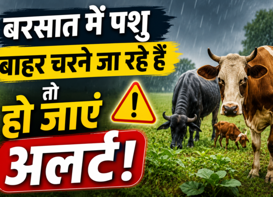 Pashuon ke liye Zehreeli Kharpatwar