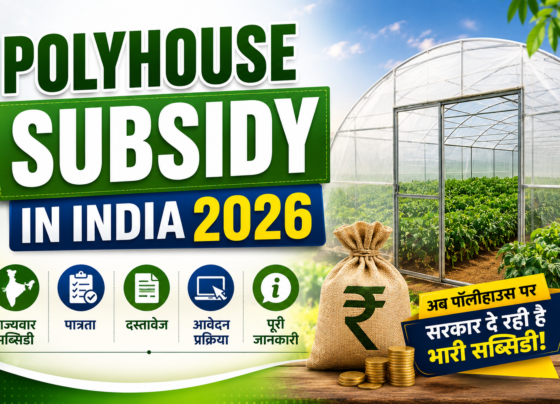 Polyhouse Subsidy in India