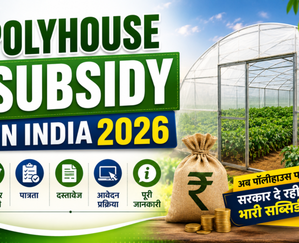 Polyhouse Subsidy in India