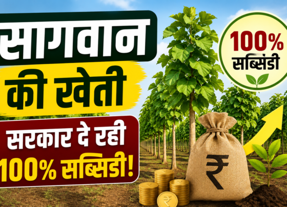 Sagwan Farming Subsidy Scheme