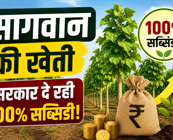 Sagwan Farming Subsidy Scheme