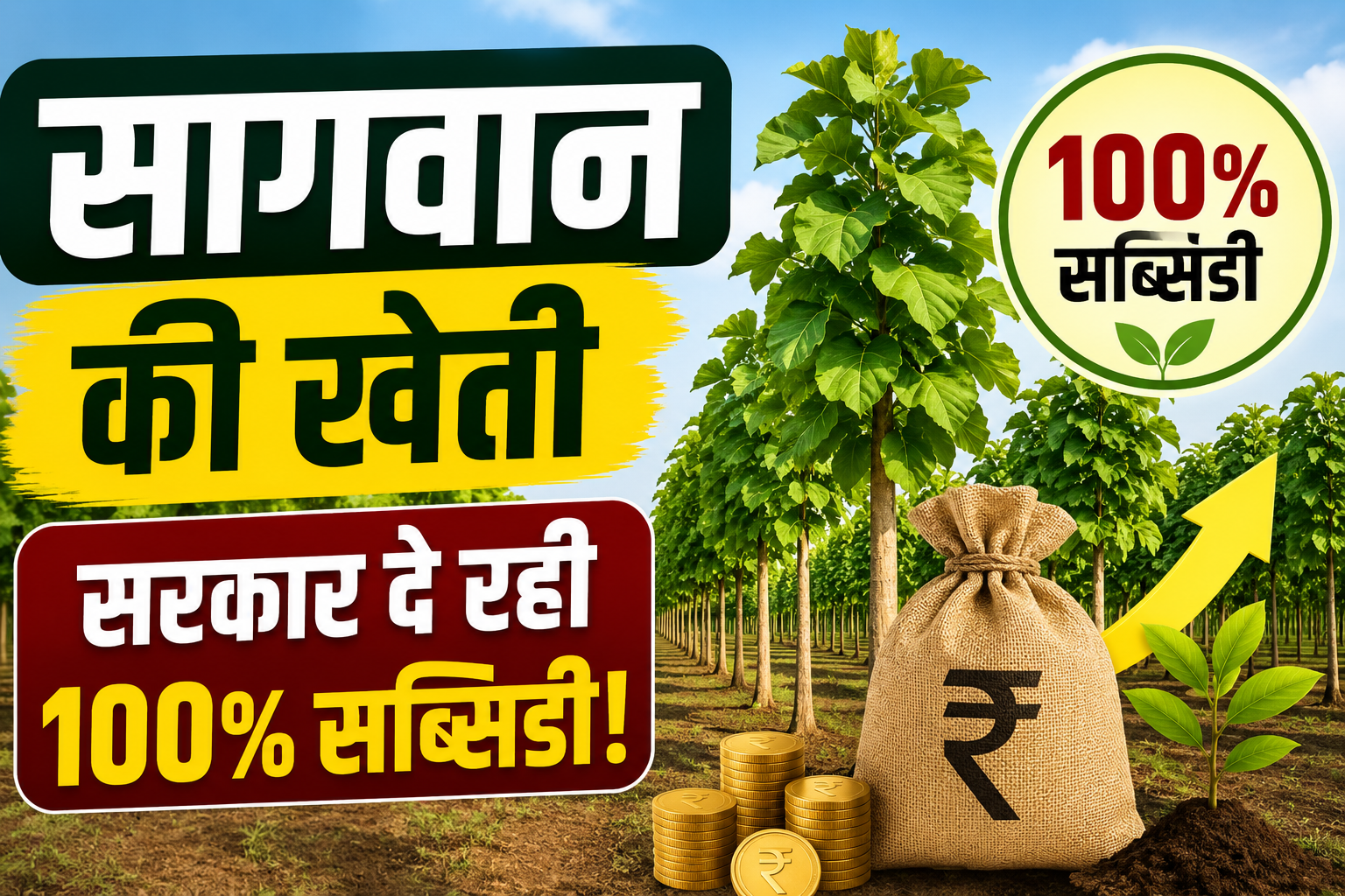 सागवान की खेती से होगी करोड़ो की कमाई! सरकार दे रही 100% तक भारी अनुदान, जानें पूरी योजना Sagwan Farming Subsidy Scheme