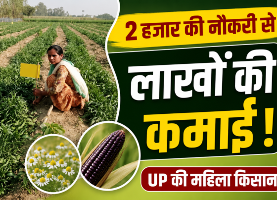 Success Story Of UP Woman Farmer Sita Devi