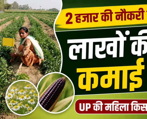Success Story Of UP Woman Farmer Sita Devi