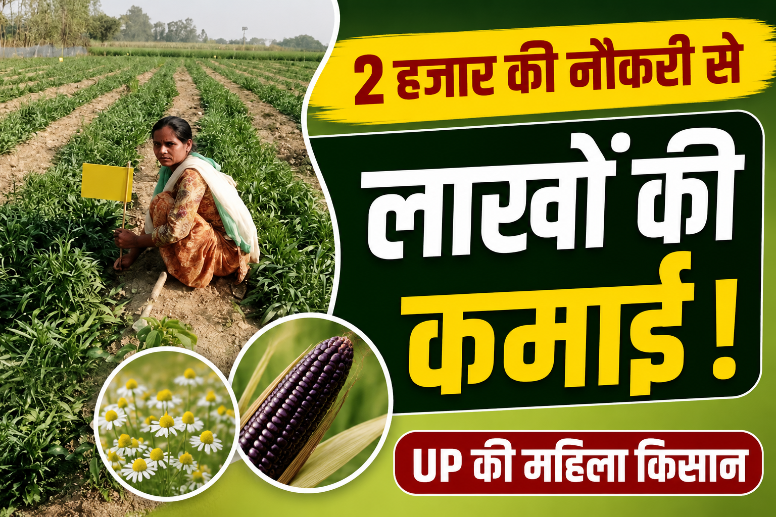 2 हजार रुपये की नौकरी से लाखों की कमाई तक का सफर, जानिए UP की महिला किसान की सफलता की कहानी Success Story Of UP Woman Farmer Sita Devi