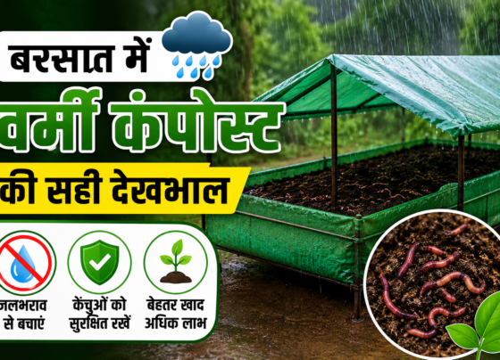 Vermicompost Care in Rainy Season