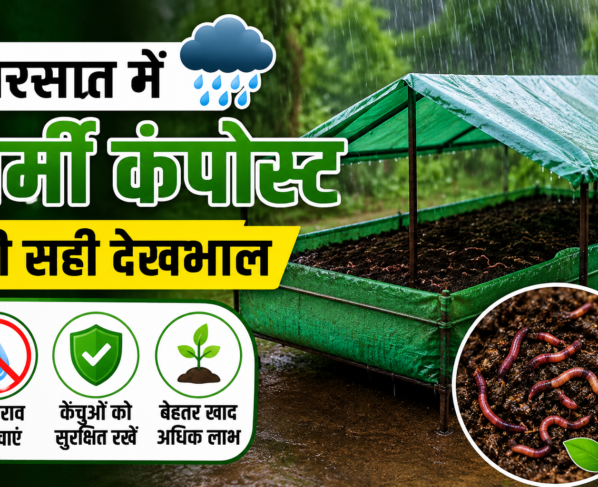 Vermicompost Care in Rainy Season