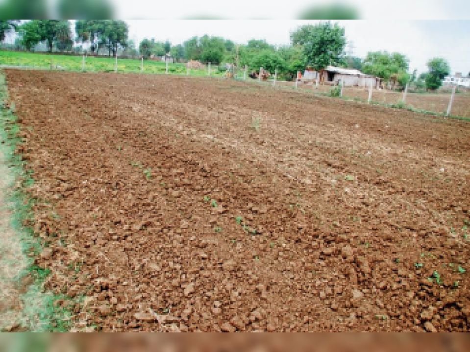 Monsoon Rainfall Alert July