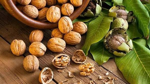 Walnut Farming