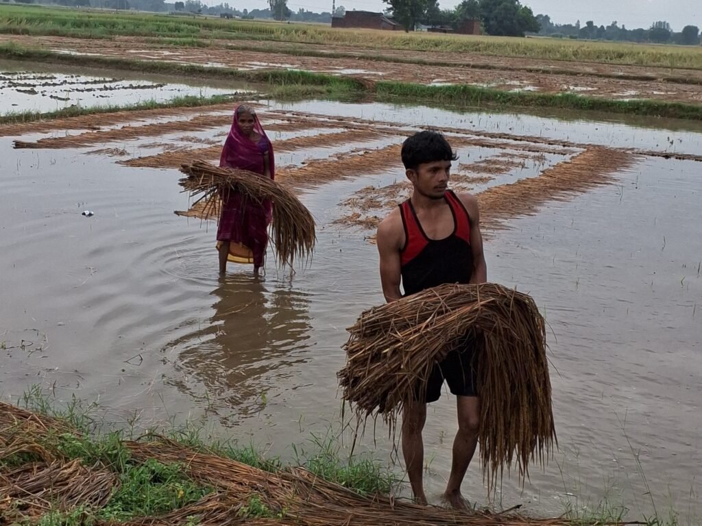 Assam Flood 2026